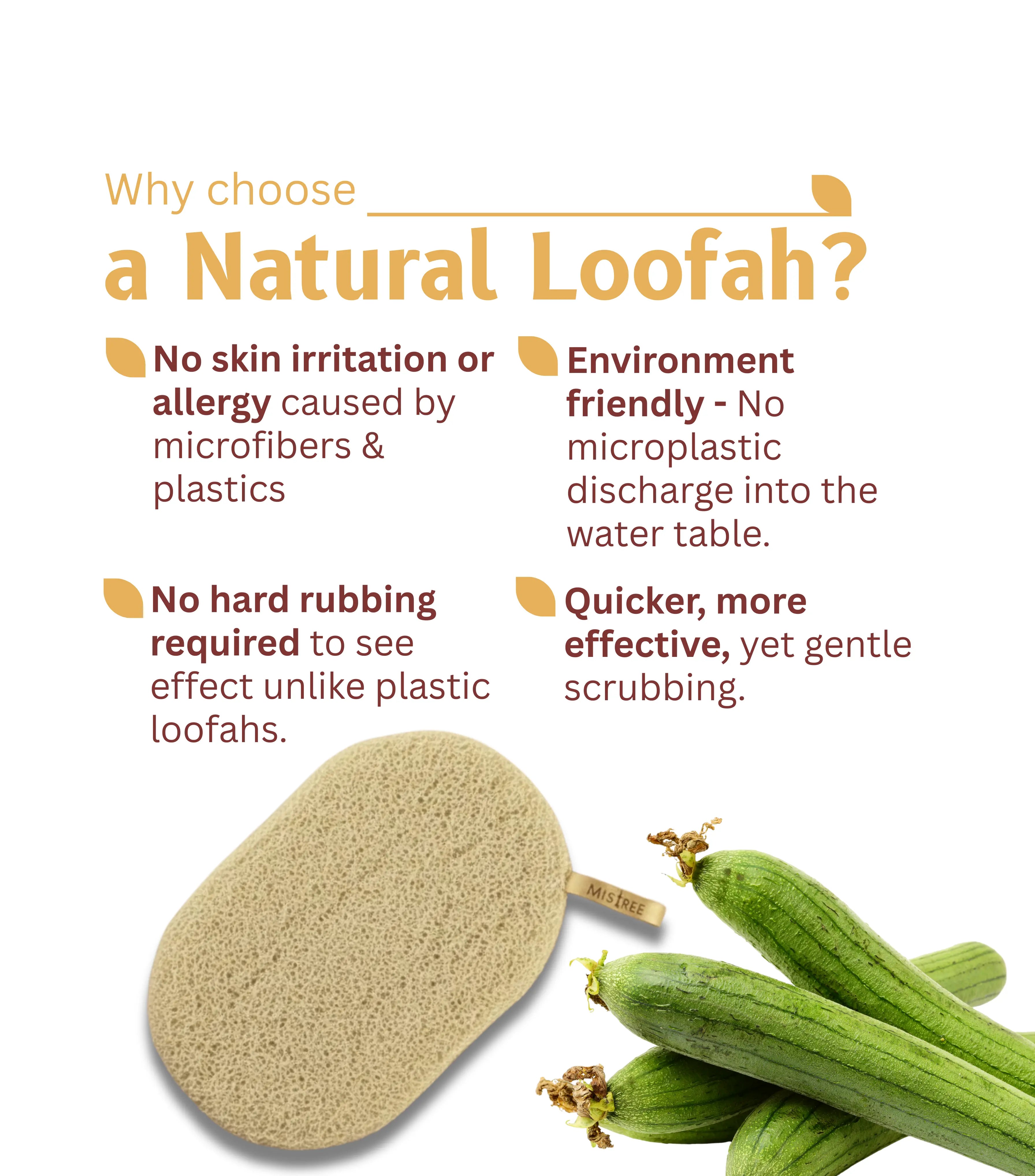 Mistree Luxury Natural Sun-Dried Bath Loofah | Organic Luffa Body Sponge & Scrubber | Skin Exfoliation | Pack of 1